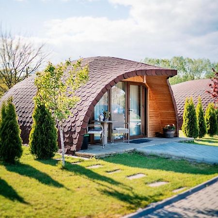 Montana Garden Hotel Răşinari Buitenkant foto