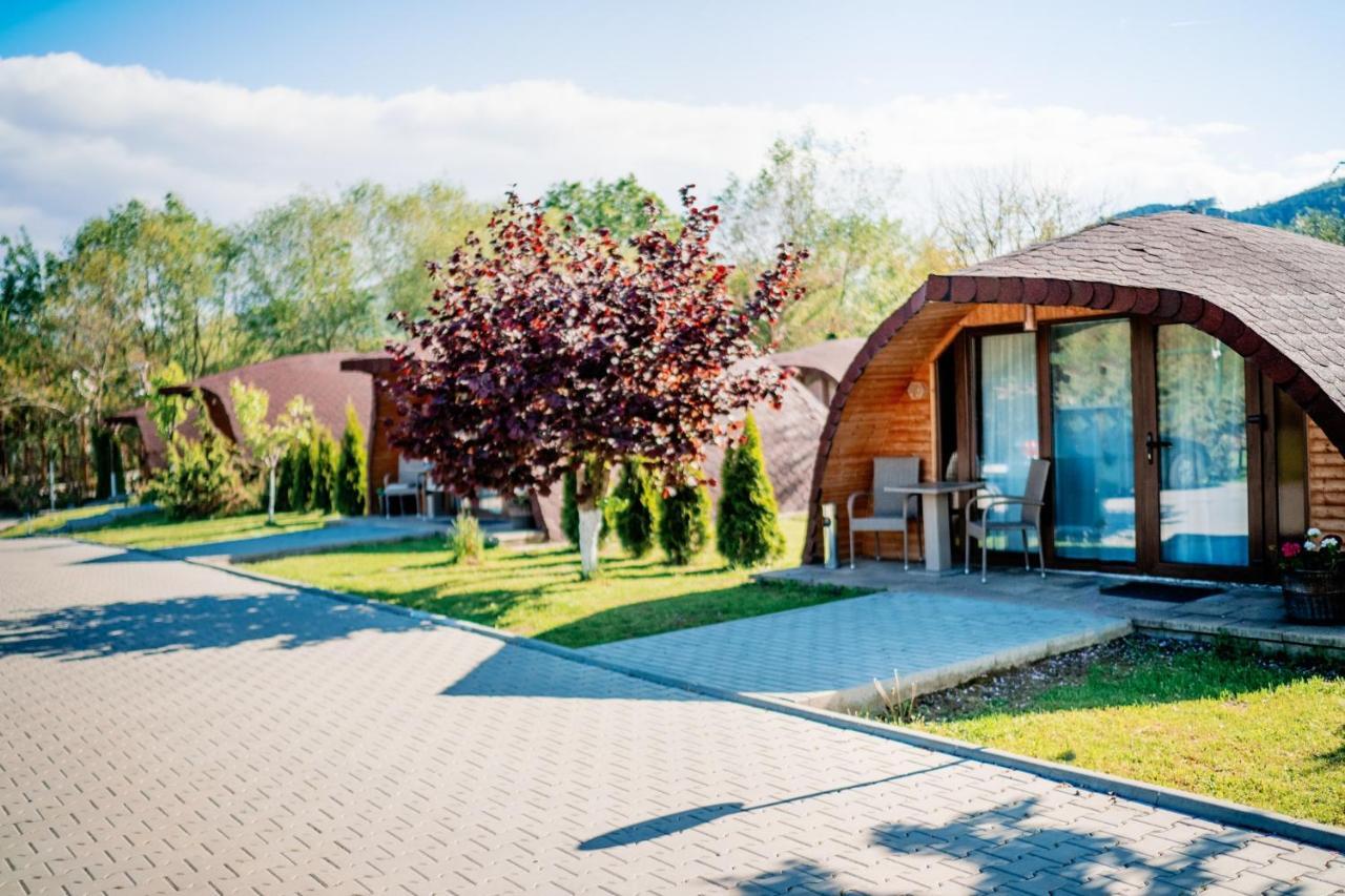 Montana Garden Hotel Răşinari Buitenkant foto