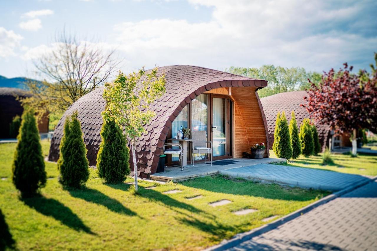 Montana Garden Hotel Răşinari Buitenkant foto