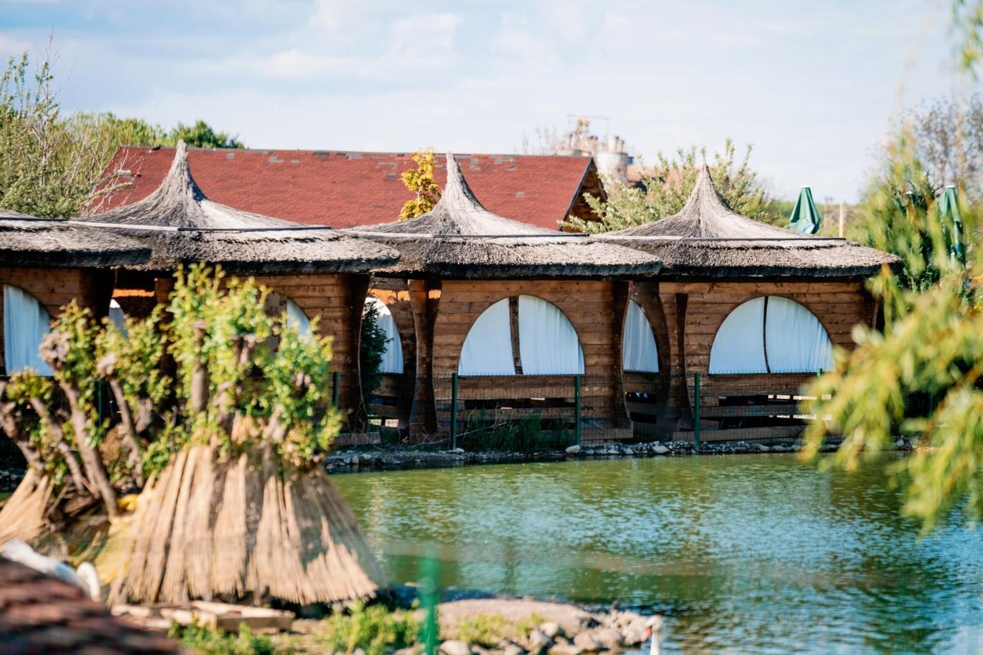 Montana Garden Hotel Răşinari Buitenkant foto
